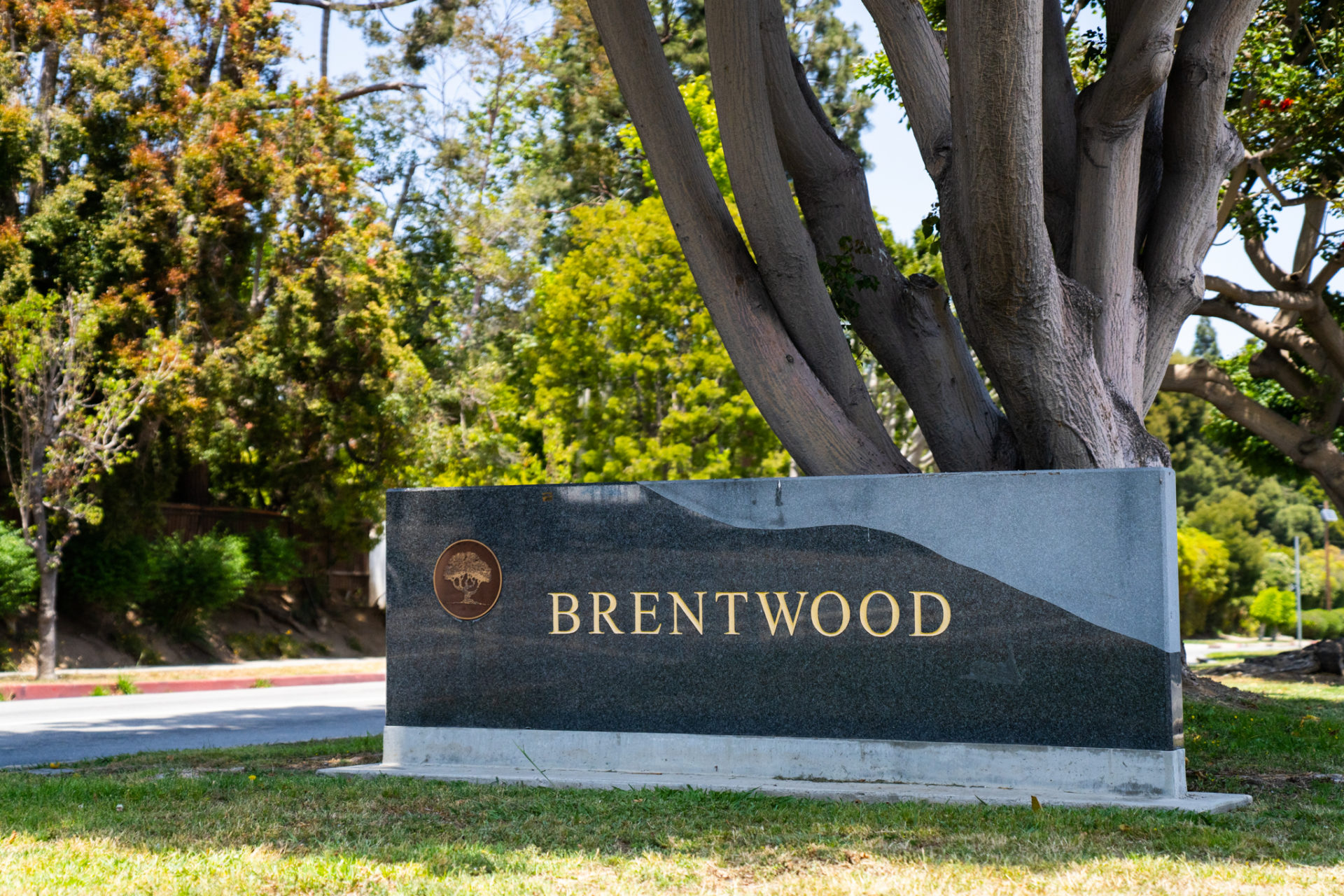 Brentwood neighborhood sign